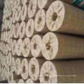 Protection Nets Hardware Cloth Welded Wire Mesh Rolls